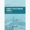 沿海港口工程软土地基处理实用技术 商品缩略图0