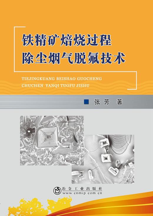 铁精矿焙烧过程除尘烟气脱氟技术/张芳 商品图0