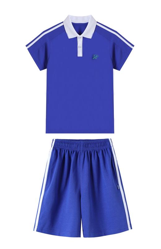 青之树【速干抑菌款】小学夏装运动服 【深圳市中小学校服供应商】 51深圳校服A 商品图3