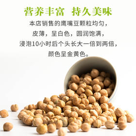  10道鹰嘴豆食谱：高蛋白、低脂肪！营养特别好，吃起来也很简单 