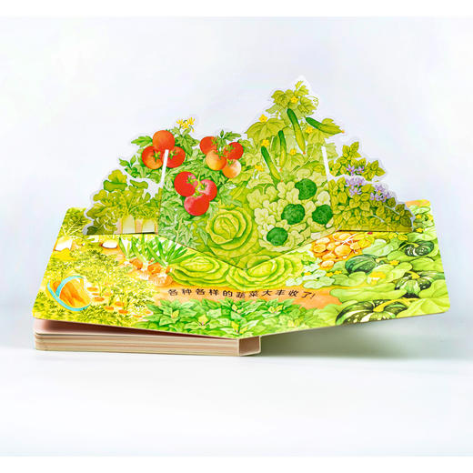 0-3岁食育玩具书：全3册（好好吃的水果蔬菜：全3册） 商品图4