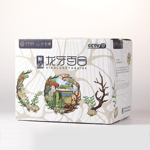 当季新鲜 龙牙百合  口感粉糯不苦不甜 商品图5