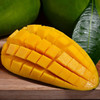 广西 桂七芒果 芒果界的“茅台” 果香浓郁 个大饱满 果肉细腻滑嫩 香甜多汁 无纤维少 入口即化 新鲜美味 商品缩略图4