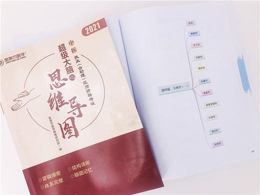 中医执业含助理医师资格考试超级大脑之思维导图  中医基础理论 发散思维图谱玩转思维导图 中医执业含助理医师资格考试备考资料书 商品图3