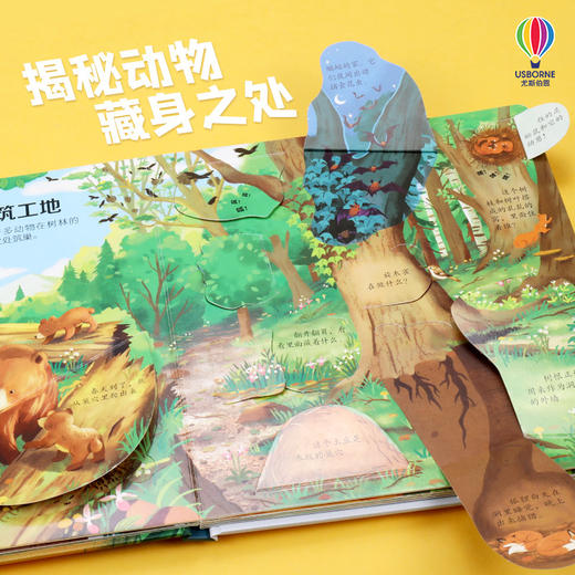 尤斯伯恩看里面（低幼版）揭秘森林 商品图4