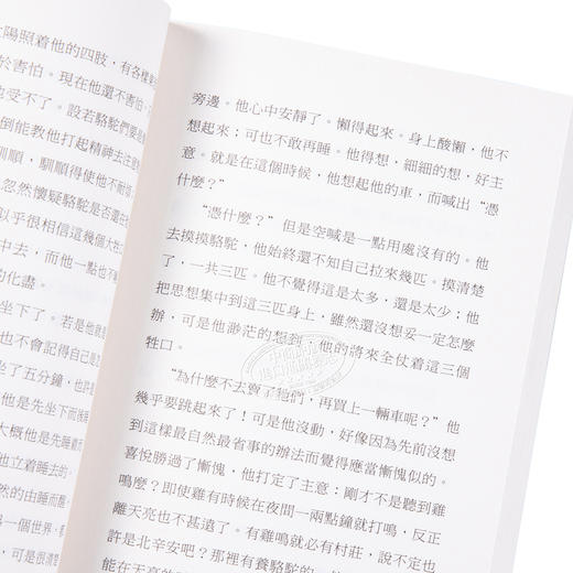 预售 【中商原版】骆驼祥子（第二版）港台原版 老舍	香港三联书店 小说 商品图3