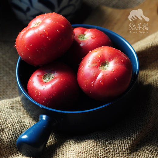 生态西红柿（山西） | 合作生产*Eco-Taoxing tomato | Coprodution 商品图4