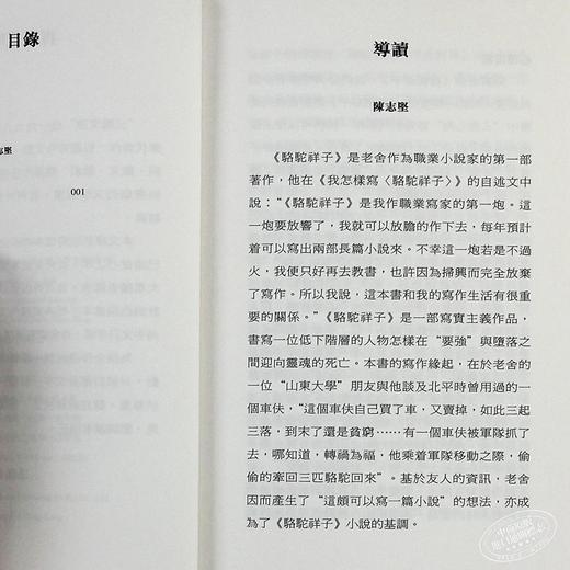 预售 【中商原版】骆驼祥子（第二版）港台原版 老舍	香港三联书店 小说 商品图4