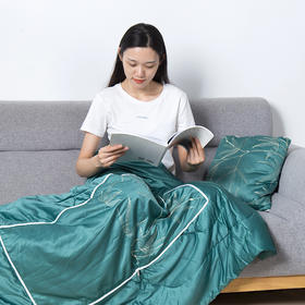 平直堂·艾绒靠枕被，一个=靠枕+小被子，坐着睡着赶跑湿寒
