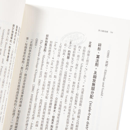【中商原版】黑天鹅效应 扩充新版 The Black Swan 港台原版 Nassim Nicholas Taleb 大块文化 商品图3