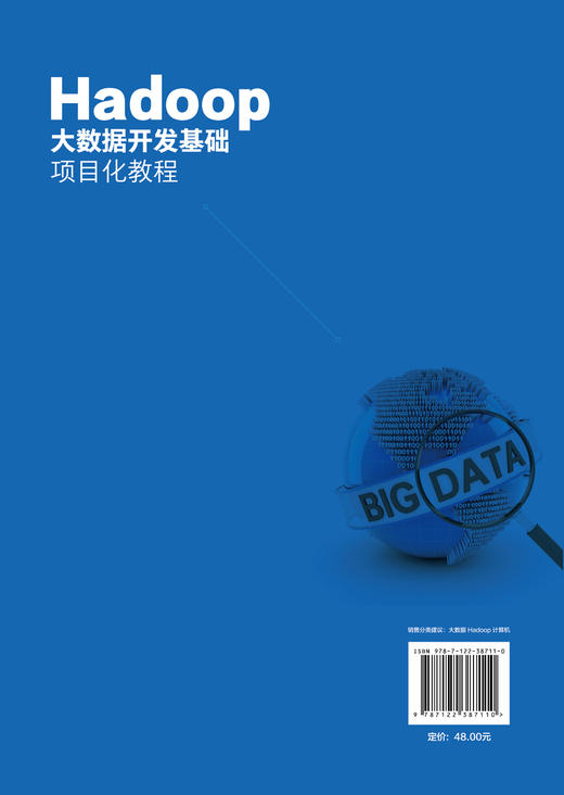 正版 Hadoop大数据开发基础项目化教程 陈秀玲 Hadoop大数据处理与分析技术书籍 高职高专院校大数据技术等计算机相关专业教材书籍 商品图1