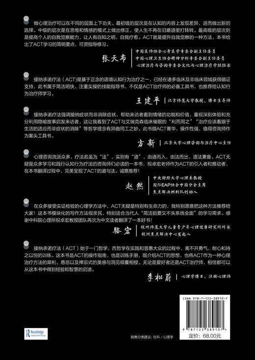 心理咨询与治疗100个关键点译丛 接纳承诺疗法 ACT 100个关键点与技巧 心理治疗技巧 心理咨询实战派经典力作心理咨询师案头参考书 商品图1