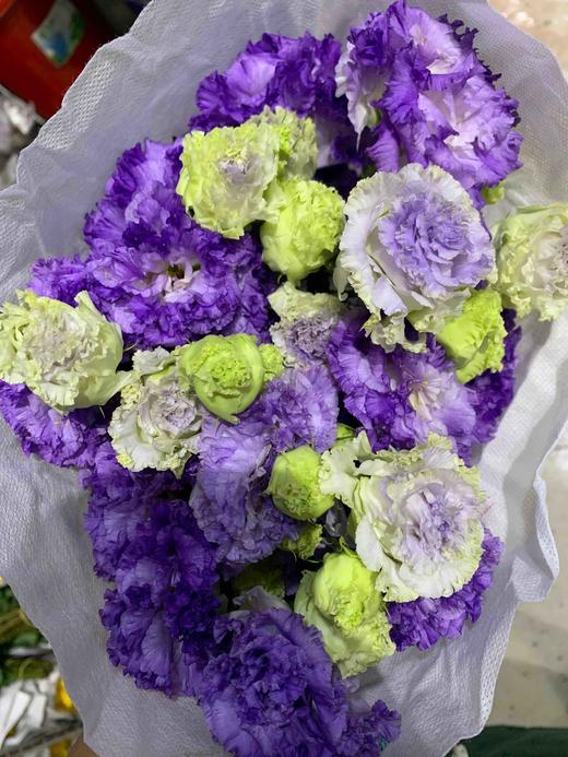 A通海 洋桔梗 波浪紫 商品图1