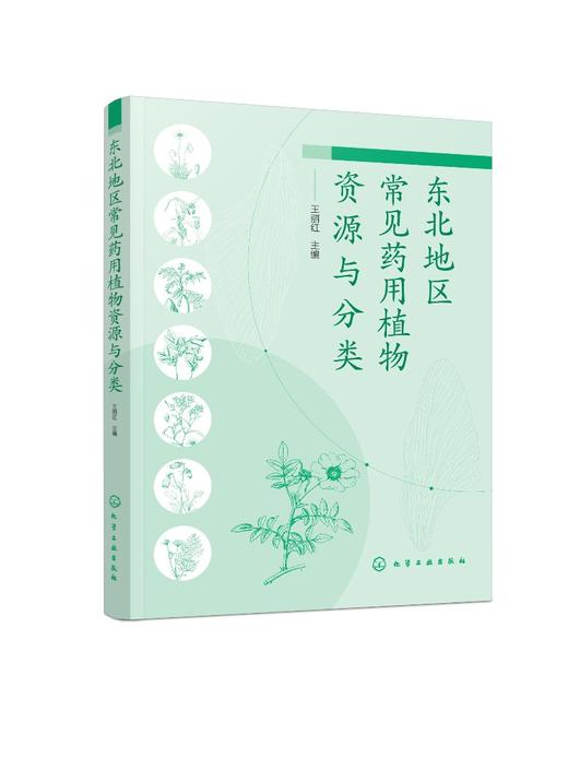 东北地区常见药用植物资源与分类  700多种东北地区药用植物图谱图鉴大全书籍 中药材中草药药用植物名称识别形态特征生境分布应用 商品图0