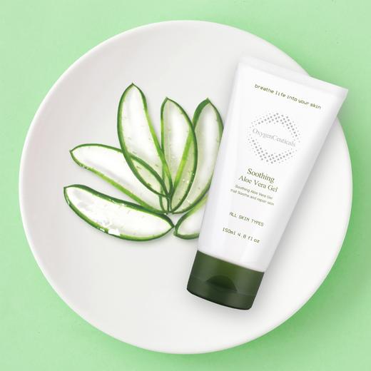 韩国 OxygenCeuticals 氧丽可丝 天然芦荟修复凝胶 150ml /1000ml 商品图0