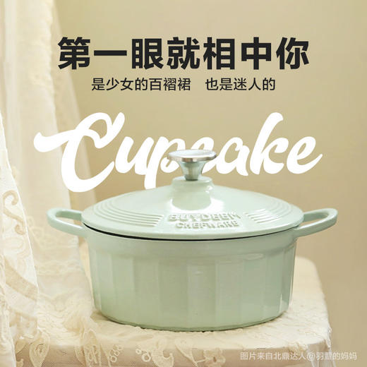 Buydeem/北鼎 珐琅铸铁锅22cm 煲汤家用焖炖锅一锅多用[福利品] 商品图1