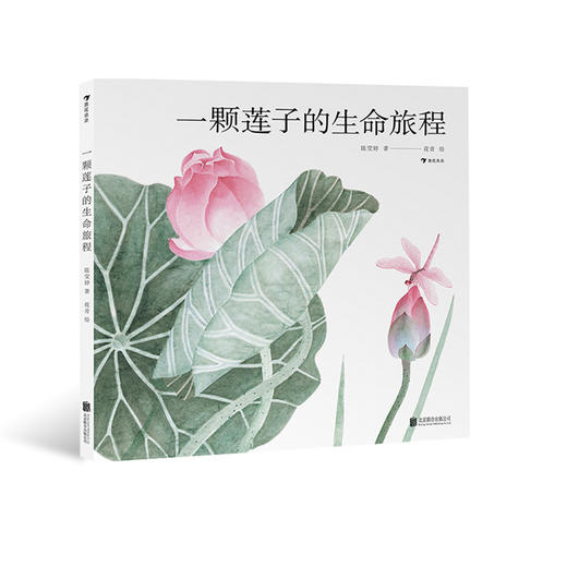 一颗莲子的生命旅程 中科院植物学科普达人创作以国画绘出莲的生命轮回国风情怀自然科普绘本 浪花朵朵童书 商品图0