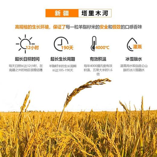 沙垦庄园190香米2.5kg/袋 商品图3