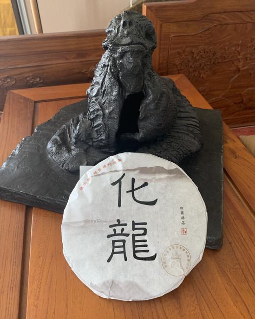 化龍（活化性的老白茶） 商品图10