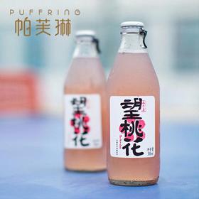 夏季热销网红气泡水