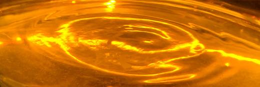 化龍（活化性的老白茶） 商品图7