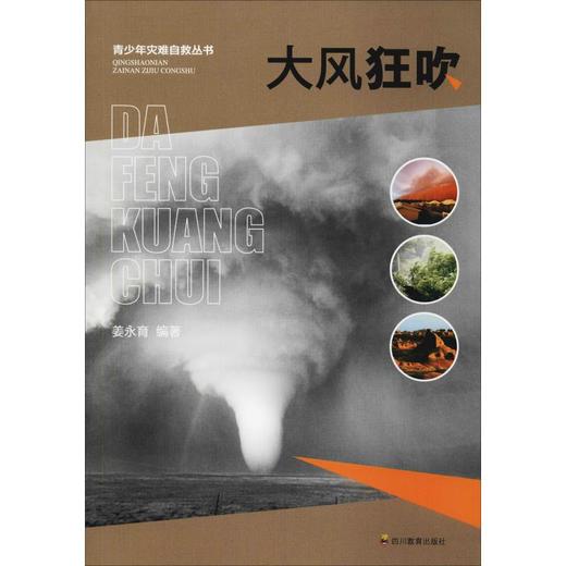 大风狂吹 商品图0