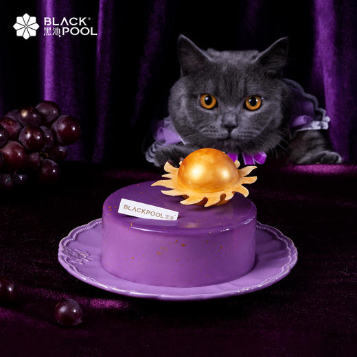 （兑换）【海盐芝士葡萄慕斯】浩瀚星河 璀璨之光  海盐多肉葡萄 商品图1