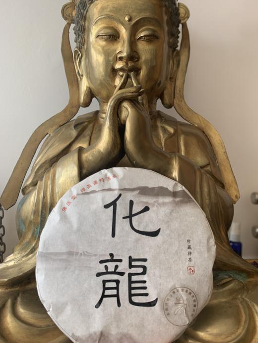 化龍（活化性的老白茶） 商品图9