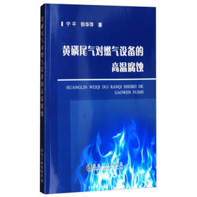 黄磷尾气对燃气设备的高温腐蚀/宁平,郜华萍