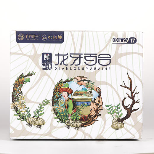 当季新鲜 龙牙百合  口感粉糯不苦不甜 商品图4