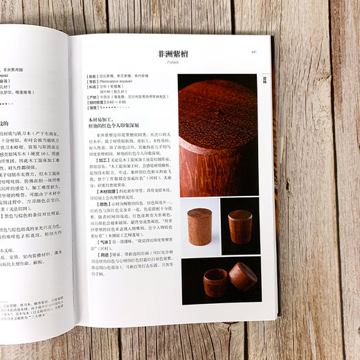 世界木材图鉴 289种木材识别与应用宝典 日本木工艺家作品集 木材硬度加工难易度纹理色彩气味木材用途 世界名贵木材鉴别方法书籍 商品图4