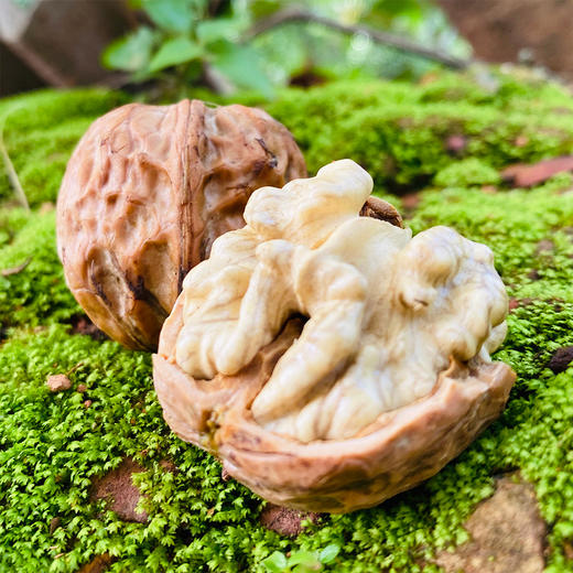 『攀枝花老树鲜核桃』鲜嫩清甜 细腻雪白 商品图0