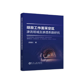 综放工作面采空区渗流场域及渗透系数研究/陈善乐