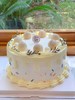 水果荔枝奶油蛋糕 下单前请仔细阅读商品详情 商品缩略图0