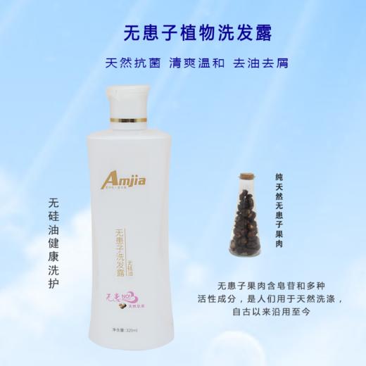 无患子植物洗发露 无硅油【320ml】 商品图2