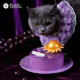 （兑换）【海盐芝士葡萄慕斯】浩瀚星河 璀璨之光  海盐多肉葡萄