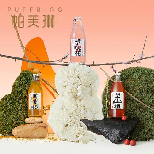 夏季热销网红气泡水 商品图2