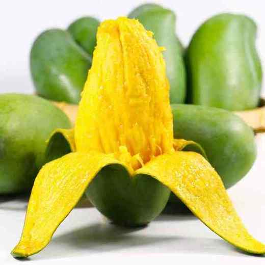 广西 桂七芒果 芒果界的“茅台” 果香浓郁 个大饱满 果肉细腻滑嫩 香甜多汁 无纤维少 入口即化 新鲜美味 商品图3