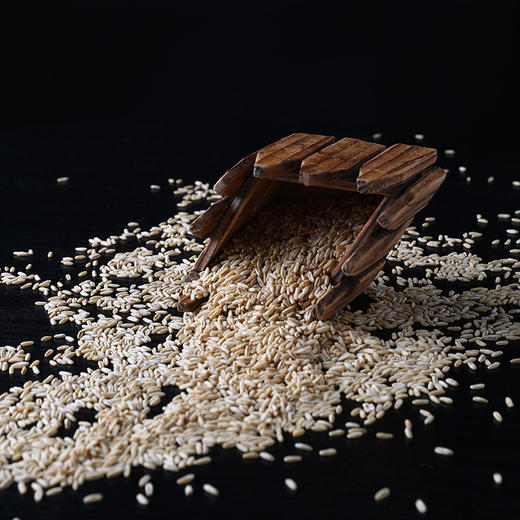 内蒙古武川 燕麦胚芽米 保留全胚芽谷物 商品图3