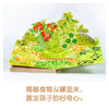 0-3岁食育玩具书：全3册（好好吃的水果蔬菜：全3册） 商品缩略图8