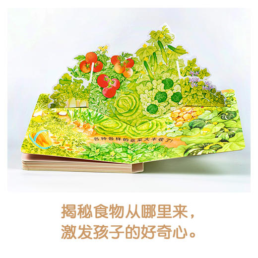 0-3岁食育玩具书：全3册（好好吃的水果蔬菜：全3册） 商品图8