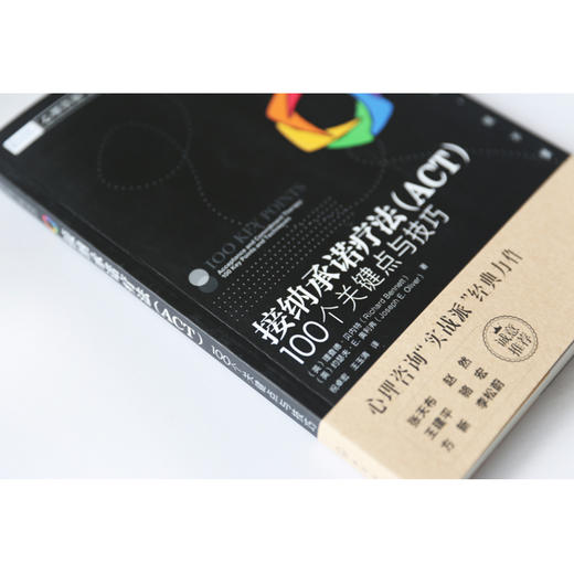 心理咨询与治疗100个关键点译丛 接纳承诺疗法 ACT 100个关键点与技巧 心理治疗技巧 心理咨询实战派经典力作心理咨询师案头参考书 商品图3