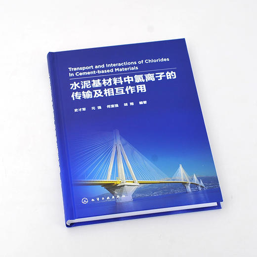 正版 水泥基材料中氯离子的传输及相互作用 水泥混凝土材料 钢筋混凝土结构耐久性 研究土木工程海洋工程道路工程设计应用书籍 商品图2