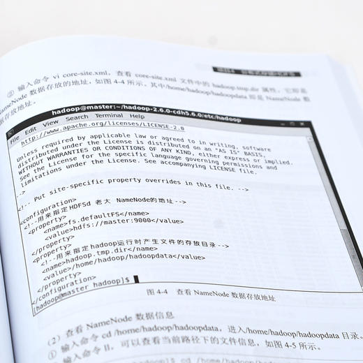 正版 Hadoop大数据开发基础项目化教程 陈秀玲 Hadoop大数据处理与分析技术书籍 高职高专院校大数据技术等计算机相关专业教材书籍 商品图4