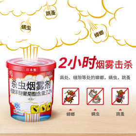 日本安速红阿斯杀虫烟雾剂20g弹烟熏灭跳蚤蟑螂药克星家用全窝端