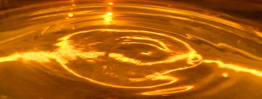 化龍（活化性的老白茶） 商品图3