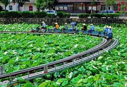 户外@【花都一线天+红山村赏荷花】1天    逢周六、日 出发    特价69元 商品图5