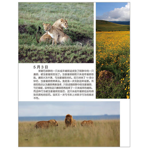 《东非草原 野生动物大追踪》（全2册）6-12岁  适读年龄6-15岁 商品图3