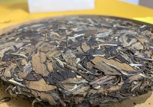 化龍（活化性的老白茶） 商品图5