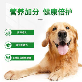 【狗狗罐头】初遇狗罐头宠物大罐头375g湿粮伴侣